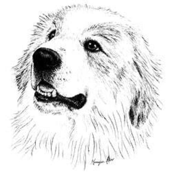 Meet your Posher, Jennifer - Picture 1 of 1